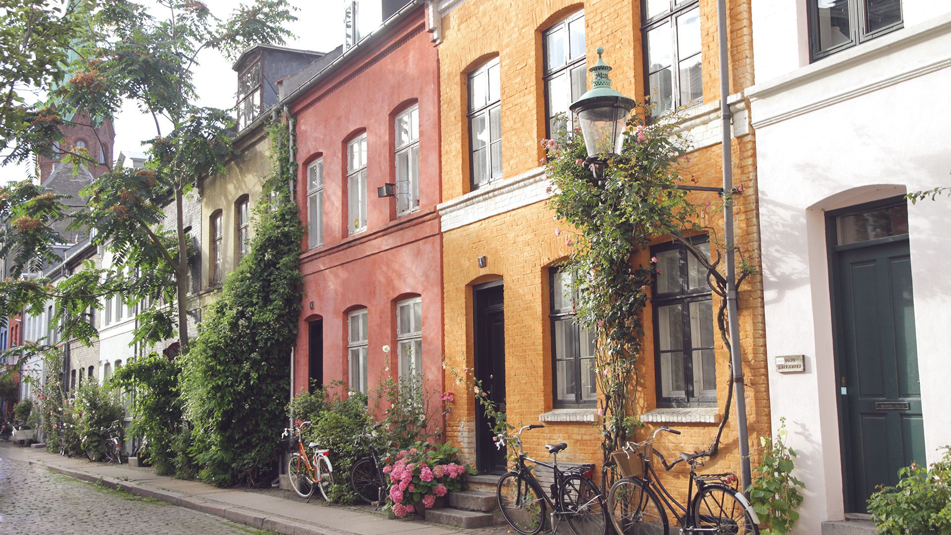 Garten Und Landschaftsbauer Erfurt Ziwo Garten Und Landschaftsbau Weimar Eisenach